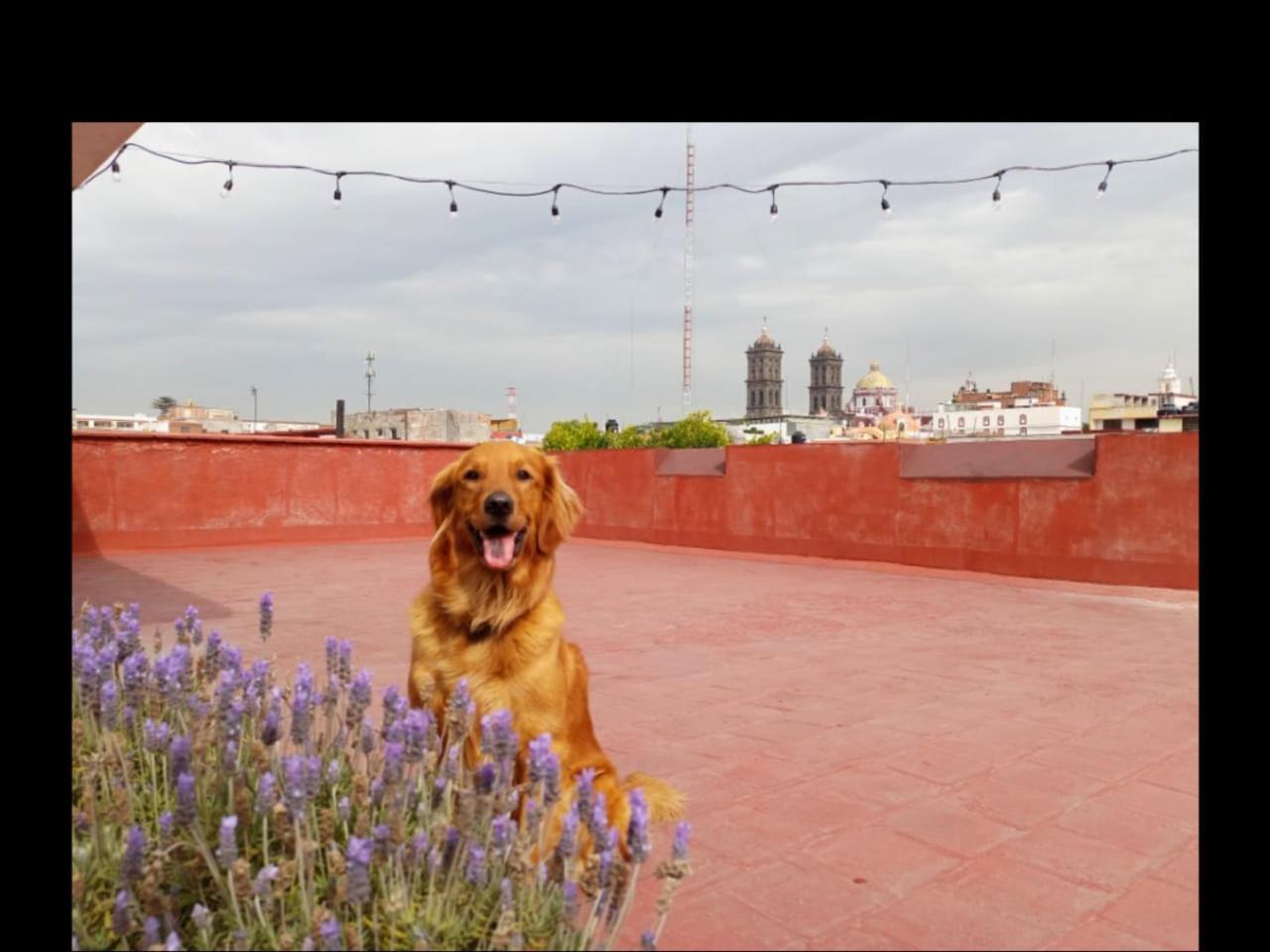 Rincon Poblano Puebla